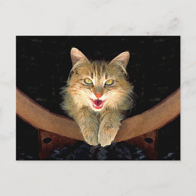 Mad Cat Painting - Niedliche Original Cat Art Postkarte (Vorderseite)