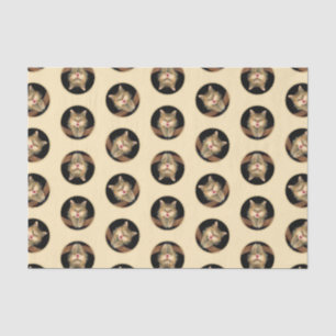 Mad Tabby Cat Portrait Malerei Niedliche Originell Seidenpapier