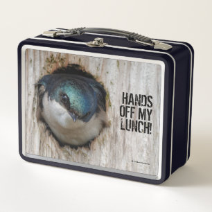 Mad Tree Swallow Songbird in Nestbox Metall Brotdose