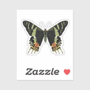 Madagascan Sunset Moth Aufkleber