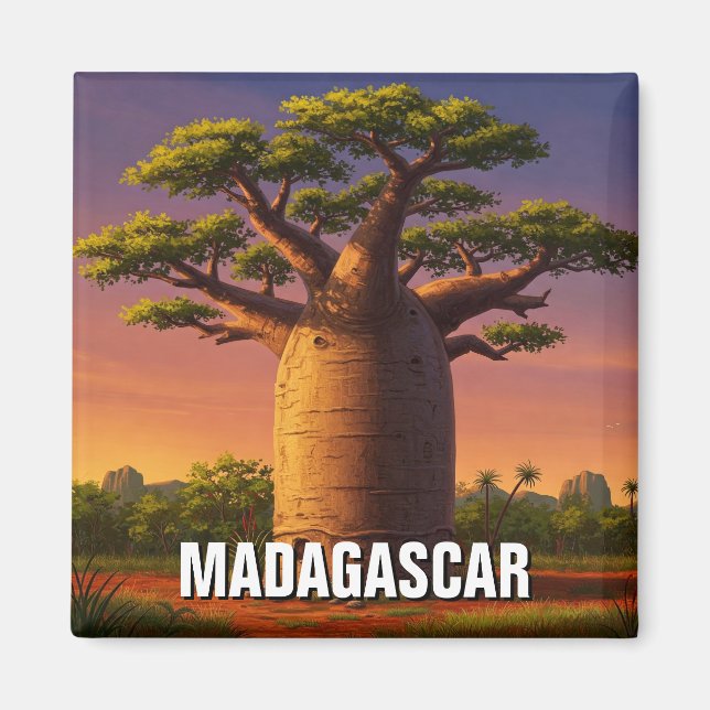 Madagascar Baobab Tree Travel Magnet (Vorne)