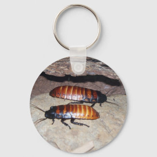 Madagascar Hissing Cockroach Schlüsselanhänger