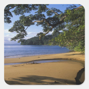 Madagascar, Nosy Mangabe Special Reserve, auf Quadratischer Aufkleber