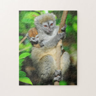 Madagaskar, Andasibe, Ile Aux Lemuriens, Mutter