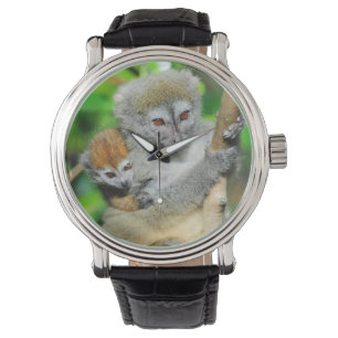 Madagaskar, Andasibe, Ile Aux Lemuriens, Mutter Armbanduhr