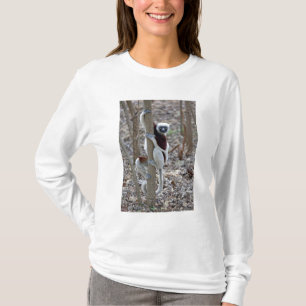 Madagaskar, Ankarafantsika-Reservat; Ampijoroa; T-Shirt
