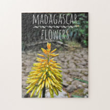 Madagaskar-Blume-Puzzle