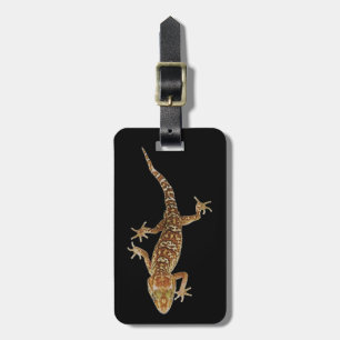 Madagaskar Grundgecko (Paroedura pictus) an Gepäckanhänger