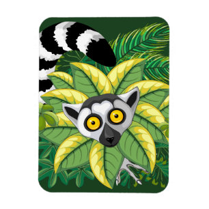 Madagaskar-Lemuren im Exotischen Dschungel Magnet
