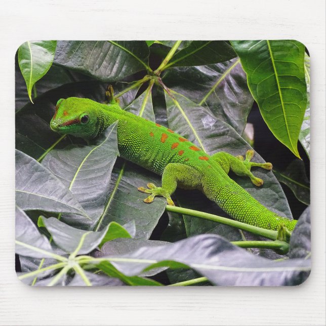 Madagaskar Mousepad (Vorne)