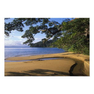 Madagaskar, Nosy Mangabe, Sonderreservat Fotodruck