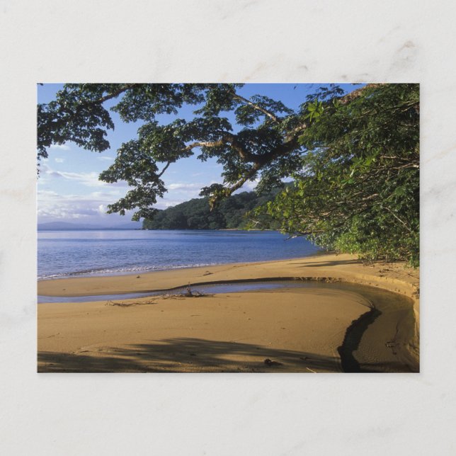 Madagaskar, Nosy Mangabe, Sonderreservat Postkarte (Vorderseite)