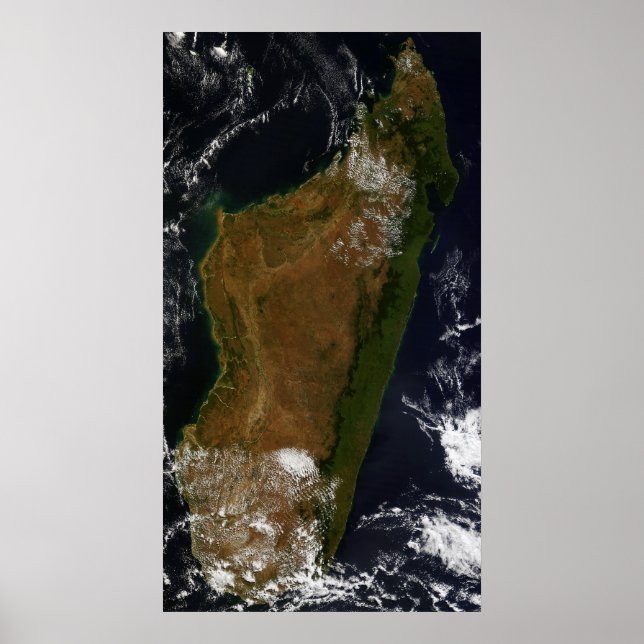 Madagaskar Poster (Vorne)