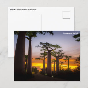 Madagaskar Postkarte