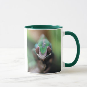 Madagaskar, Rotstab-Pantherchamäleon Tasse