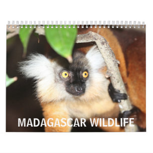 Madagaskar-wild lebende Tiere Kalender