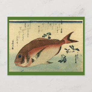 Madai oder Red Tai - Hiroshige japanische Fischdru Postkarte