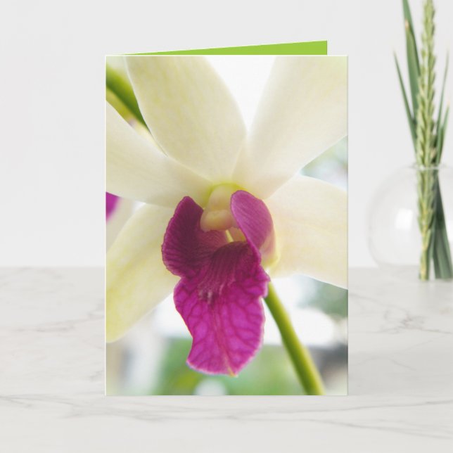 Madame Orchid Karte (Vorderseite)