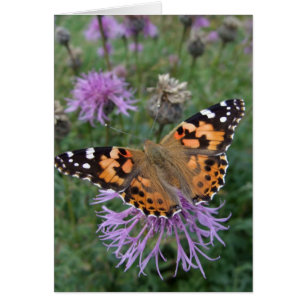 Madame peinte Butterfly Card