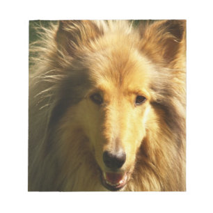Mädchen-Collie-Notizblock Notizblock