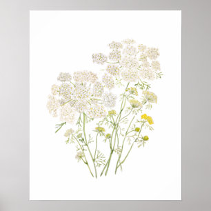 Mädchenaugen-Täubling Tinte und Aquarellmalerei Poster