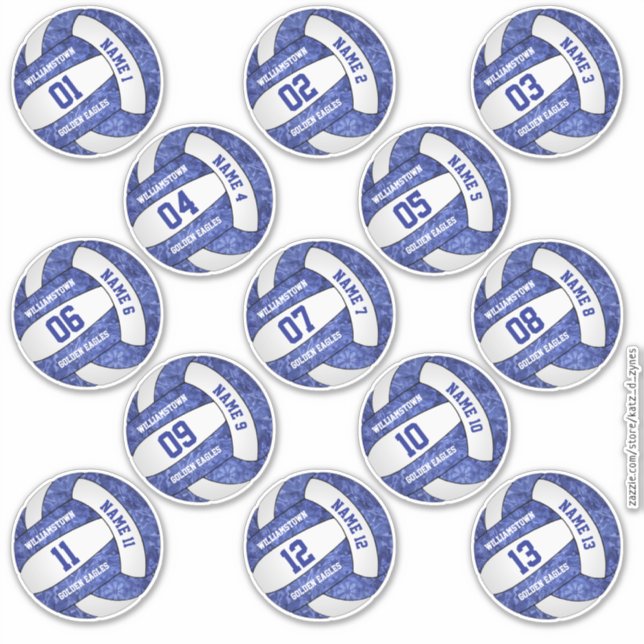 mädchenblaue Volleyball mit Namen Set von 13 Aufkleber (Vorderseite)