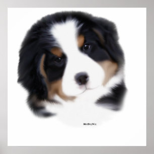 MadDogs Baby-Gesichts-Druck Poster