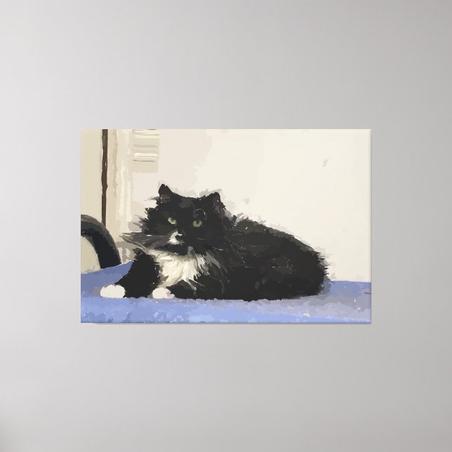 Maddy The Cat Stretched Canvas Print Leinwanddruck (Vorderseite)