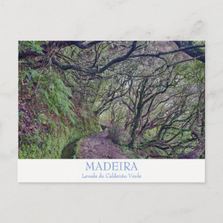 Madeira - Caldeirao Verde Postkarte mit Text