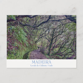 Madeira - Caldeirao Verde Postkarte mit Text