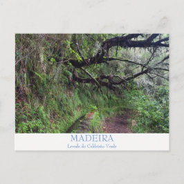 Madeira - Caldeirao Verde Postkarte mit Text