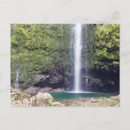 Madeira - Levada Do Caldeirao Verde Postkarte