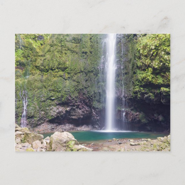Madeira - Levada Do Caldeirao Verde Postkarte (Vorderseite)