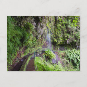 Madeira - Levada do Rei carte postale