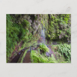 Madeira - Levada do Rei Postkarte