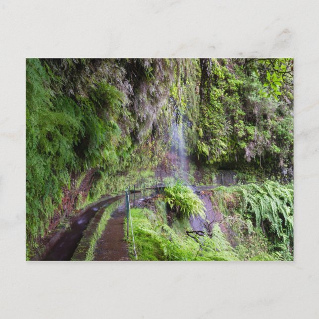 Madeira - Levada do Rei Postkarte (Vorderseite)