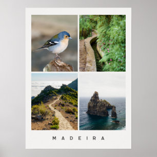 Madeira Natur und Landschaften Reise Foto Collage Poster