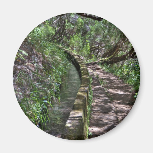 Madeira Road Way Magnet (Vorne)