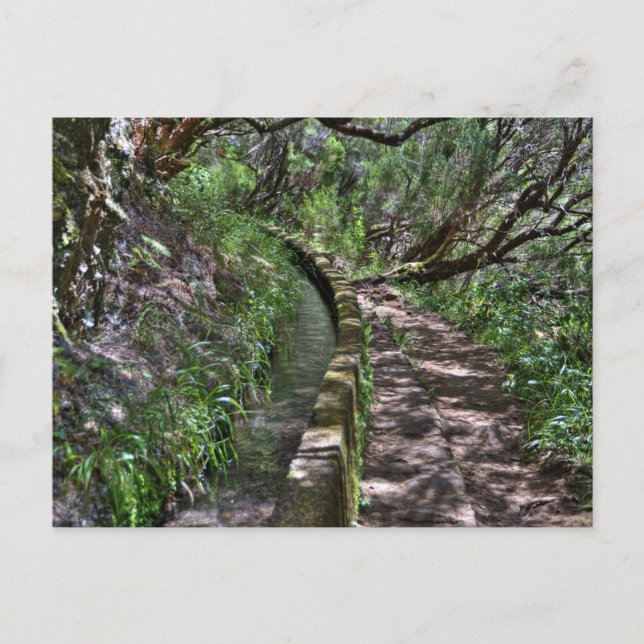 Madeira Road Way Postkarte (Vorderseite)