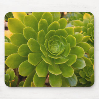 Madeiras grüne Umarmung Mousepad