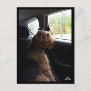 Madeleine prend une carte postale Drive