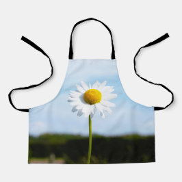Madelief rechtop geisoleerd in de natuur. schürze