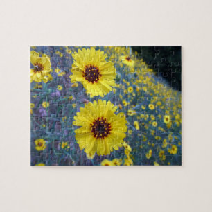 Madia-Blume im Sequoia-Nationalpark