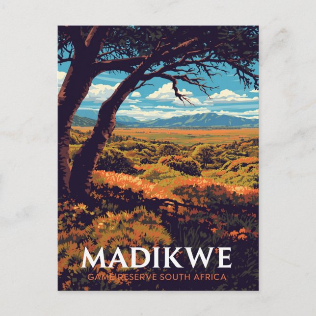 Madikwe-Reservat Südafrika Postkarte (Vorderseite)