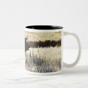 Madison-Fluss, Yellowstone NP, Wyoming, USA Zweifarbige Tasse