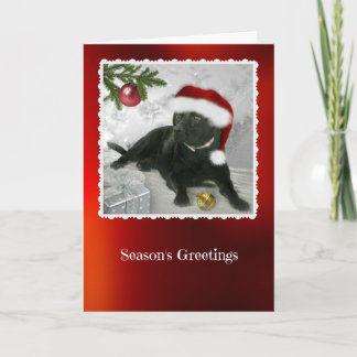 Madison la carte de Noël Black Labrador
