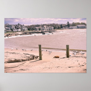 Madison-Strand lebenconnecticut Poster