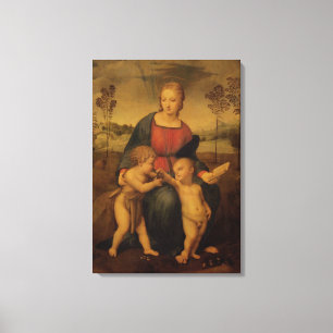 Madonna des Goldfinch, c.1506 Leinwanddruck