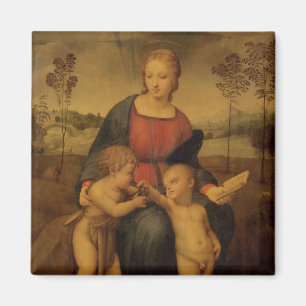 Madonna des Goldfinch, c.1506 Magnet