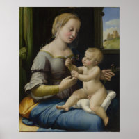 Madonna des roses de Raphael - Poster